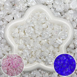 【Hot🔥】Soft Flower Mix-Bracelet/Jewelry/Keychain