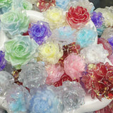 【New!✨MewMew Mix】-Big Flower Mix(with holes)