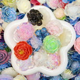 (No Hole)Resin Big Flower Mix