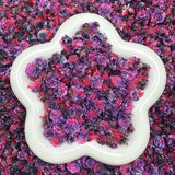 【Hot🔥】Soft Flower Mix-Bracelet/Jewelry/Keychain